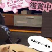 ヒメ日記 2026/02/19 02:25 投稿 かやの 奥鉄オクテツ神奈川店（デリヘル市場グループ）