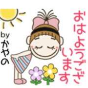 ヒメ日記 2026/02/21 07:59 投稿 かやの 奥鉄オクテツ神奈川店（デリヘル市場グループ）