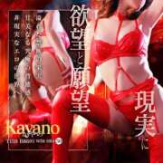 ヒメ日記 2026/03/05 00:59 投稿 かやの 奥鉄オクテツ神奈川店（デリヘル市場グループ）