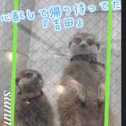 ヒメ日記 2026/03/14 07:24 投稿 かやの 奥鉄オクテツ神奈川店（デリヘル市場グループ）