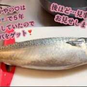 ヒメ日記 2026/03/16 06:33 投稿 かやの 奥鉄オクテツ神奈川店（デリヘル市場グループ）