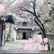 ヒメ日記 2026/03/25 11:01 投稿 かやの 奥鉄オクテツ神奈川店（デリヘル市場グループ）