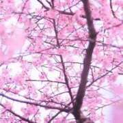 ヒメ日記 2026/04/01 11:07 投稿 かやの 奥鉄オクテツ神奈川店（デリヘル市場グループ）