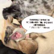 ヒメ日記 2026/04/19 12:38 投稿 かやの 奥鉄オクテツ神奈川店（デリヘル市場グループ）