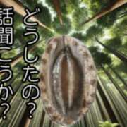 ヒメ日記 2026/04/22 18:14 投稿 かやの 奥鉄オクテツ神奈川店（デリヘル市場グループ）