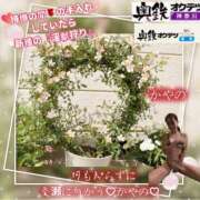 ヒメ日記 2026/05/09 17:14 投稿 かやの 奥鉄オクテツ神奈川店（デリヘル市場グループ）