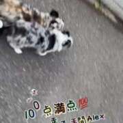 ヒメ日記 2026/06/10 16:16 投稿 かやの 奥鉄オクテツ神奈川店（デリヘル市場グループ）