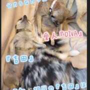 ヒメ日記 2026/08/03 19:07 投稿 かやの 奥鉄オクテツ神奈川店（デリヘル市場グループ）