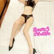 ヒメ日記 2026/03/24 21:26 投稿 水瀬 熟女の風俗最終章　鶯谷店