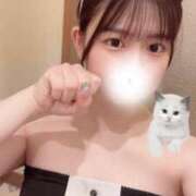 ヒメ日記 2025/02/22 17:17 投稿 あすか 黒い金魚（札幌）