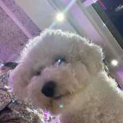 ヒメ日記 2026/03/19 18:41 投稿 さつき ミルキーラテ