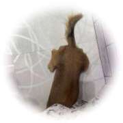 ヒメ日記 2026/03/21 18:38 投稿 さつき ミルキーラテ