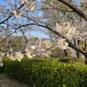 なの 桜🌸 コスパラ(梅田)