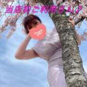 ヒメ日記 2025/04/11 17:50 投稿 みさき 横浜痴女性感フェチ倶楽部