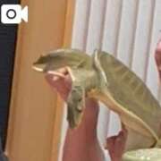 ヒメ日記 2026/01/27 12:20 投稿 みさき 横浜痴女性感フェチ倶楽部