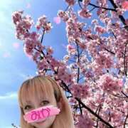 ヒメ日記 2025/03/24 17:19 投稿 みか 横浜痴女性感フェチ倶楽部