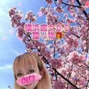 ヒメ日記 2025/04/02 12:29 投稿 みか 横浜痴女性感フェチ倶楽部