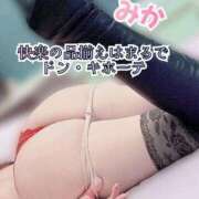 ヒメ日記 2025/10/20 07:49 投稿 みか 横浜痴女性感フェチ倶楽部