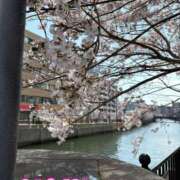 ヒメ日記 2026/03/29 14:19 投稿 まき 横浜痴女性感フェチ倶楽部