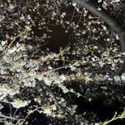 ヒメ日記 2026/04/01 14:19 投稿 まき 横浜痴女性感フェチ倶楽部