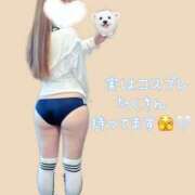 ヒメ日記 2025/08/29 18:03 投稿 夢七（ゆめな） 横浜痴女性感フェチ倶楽部