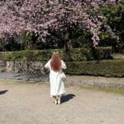 ヒメ日記 2026/03/25 22:59 投稿 夢七（ゆめな） 横浜痴女性感フェチ倶楽部