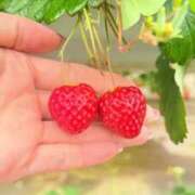 ヒメ日記 2026/04/15 12:09 投稿 夢七（ゆめな） 横浜痴女性感フェチ倶楽部