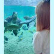 ヒメ日記 2026/07/02 21:49 投稿 夢七（ゆめな） 横浜痴女性感フェチ倶楽部