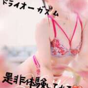 ヒメ日記 2025/09/02 17:29 投稿 りのあ 横浜痴女性感フェチ倶楽部