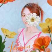 ヒメ日記 2026/08/07 20:39 投稿 りのあ 横浜痴女性感フェチ倶楽部