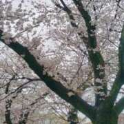 ヒメ日記 2026/03/27 08:09 投稿 さくら 横浜痴女性感フェチ倶楽部