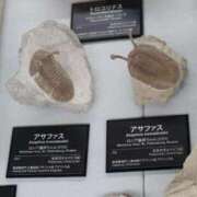 ヒメ日記 2026/06/20 12:29 投稿 さくら 横浜痴女性感フェチ倶楽部
