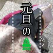 ヒメ日記 2025/01/03 13:29 投稿 響（ひびき） 横浜痴女性感フェチ倶楽部