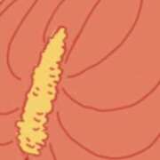 ヒメ日記 2025/01/14 11:39 投稿 響（ひびき） 横浜痴女性感フェチ倶楽部