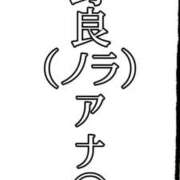 ヒメ日記 2025/01/23 09:39 投稿 響（ひびき） 横浜痴女性感フェチ倶楽部