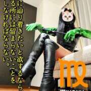 ヒメ日記 2025/03/17 21:19 投稿 響（ひびき） 横浜痴女性感フェチ倶楽部