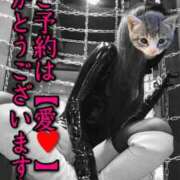 ヒメ日記 2026/01/08 12:29 投稿 響（ひびき） 横浜痴女性感フェチ倶楽部