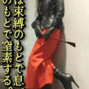 ヒメ日記 2026/01/11 12:09 投稿 響（ひびき） 横浜痴女性感フェチ倶楽部