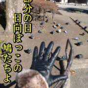 ヒメ日記 2026/02/03 21:59 投稿 響（ひびき） 横浜痴女性感フェチ倶楽部