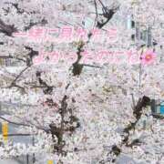 ヒメ日記 2026/04/03 12:12 投稿 美蕾（みらい） 横浜痴女性感フェチ倶楽部