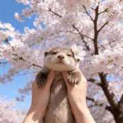 ヒメ日記 2026/04/04 12:19 投稿 美蕾（みらい） 横浜痴女性感フェチ倶楽部