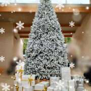 ヒメ日記 2024/12/24 16:26 投稿 あおい 栃木県デリバリーヘルス　人妻大田原・那須塩原デリヘルクラブ