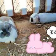 ヒメ日記 2025/02/28 15:14 投稿 あおい 栃木県デリバリーヘルス　人妻大田原・那須塩原デリヘルクラブ