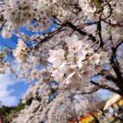 ヒメ日記 2025/04/12 20:24 投稿 あおい 栃木県デリバリーヘルス　人妻大田原・那須塩原デリヘルクラブ
