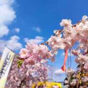 ヒメ日記 2025/04/15 22:26 投稿 あおい 栃木県デリバリーヘルス　人妻大田原・那須塩原デリヘルクラブ