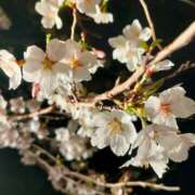 ヒメ日記 2025/04/22 19:38 投稿 あおい 栃木県デリバリーヘルス　人妻大田原・那須塩原デリヘルクラブ