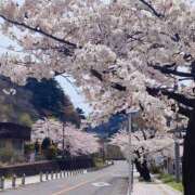 ヒメ日記 2025/04/23 18:18 投稿 あおい 栃木県デリバリーヘルス　人妻大田原・那須塩原デリヘルクラブ