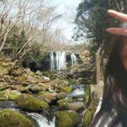 ヒメ日記 2025/04/29 21:06 投稿 あおい 栃木県デリバリーヘルス　人妻大田原・那須塩原デリヘルクラブ