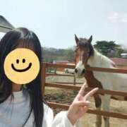 ヒメ日記 2025/05/12 19:30 投稿 あおい 栃木県デリバリーヘルス　人妻大田原・那須塩原デリヘルクラブ