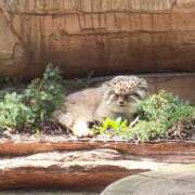 ヒメ日記 2025/05/14 20:56 投稿 あおい 栃木県デリバリーヘルス　人妻大田原・那須塩原デリヘルクラブ